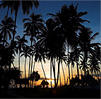 Acacia tours, Book Flights to Africa